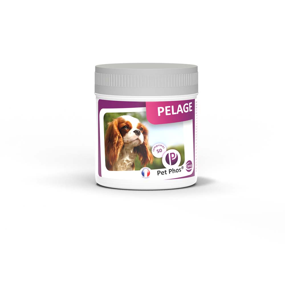 Pet Phos Pelage Chien 50 comprimés