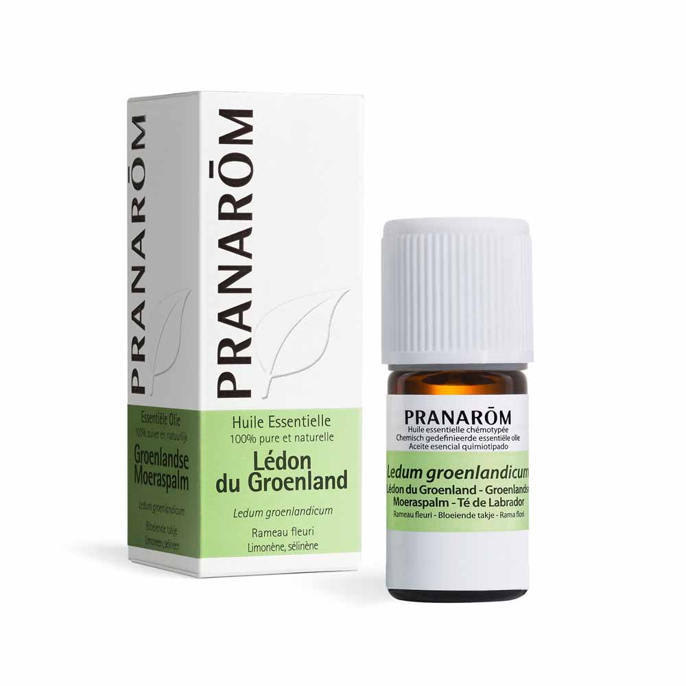 Pranarôm Les Huiles Essentielles Huile Essentielle De Ledon Du Groenland 5ml