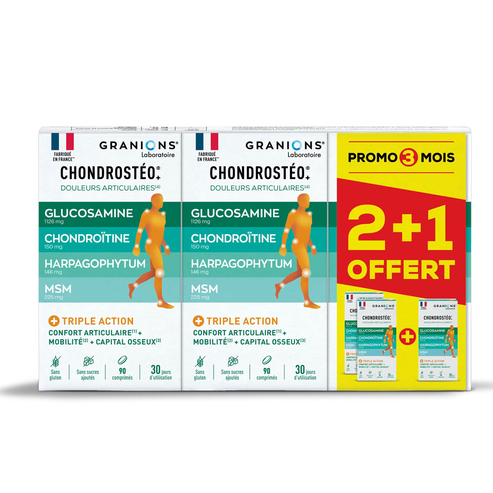 Granions Chondrostéo Articulations 3x90 Comprimes