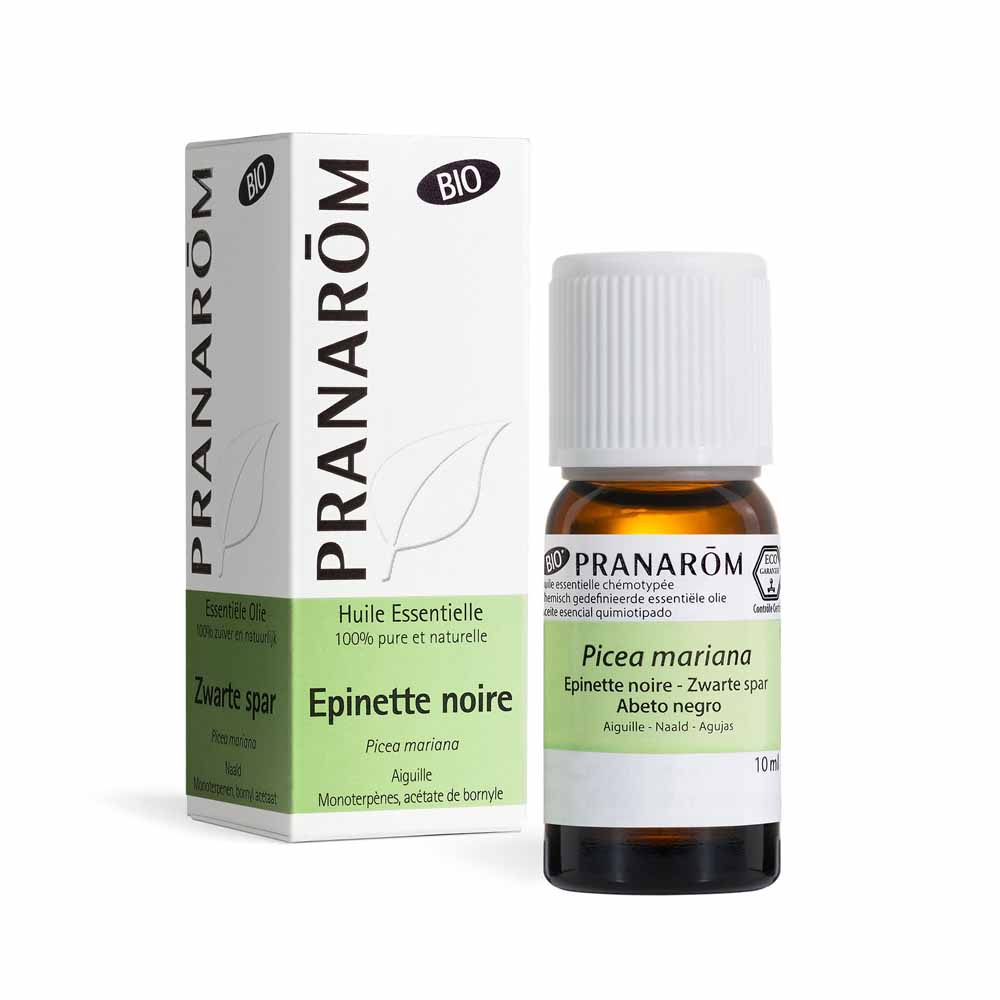 Pranarôm Les Huiles Essentielles Huile Essentielle Bio Epinette Noire 10ml