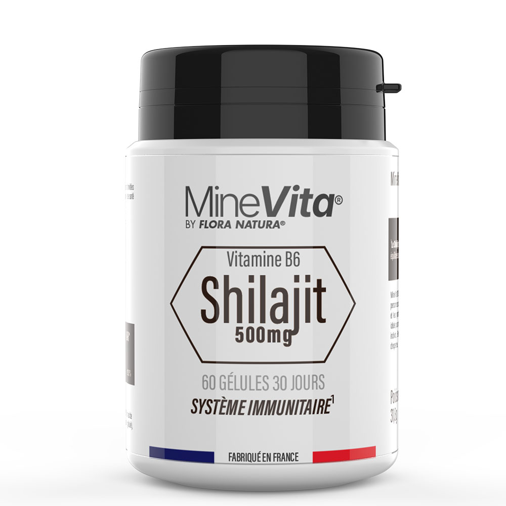 Flora Natura Minevita® Shilajit 1000mg 60 gélules