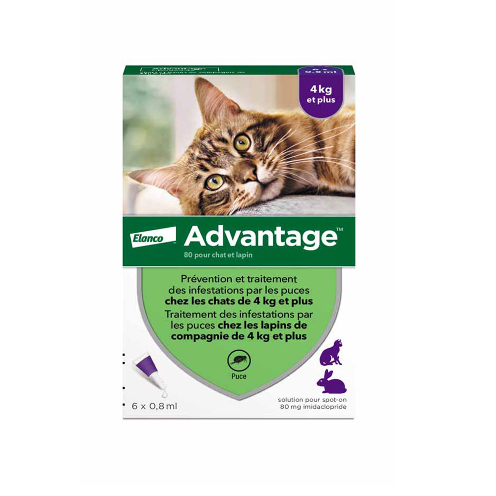 Advantage 80 Pour Grand Chat Et Lapin Plus De 4 Kilos 6x0.8ml