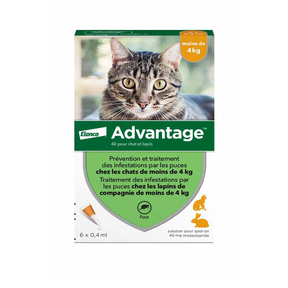 Advantage 40 Pour Petit Chat et Lapin Moins De 4 Kilos 6x0.4ml