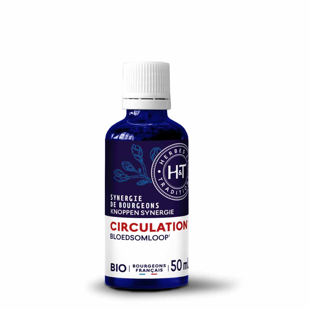 Herbes et Traditions Synergie de Bourgeons Circulation Bio 50ml