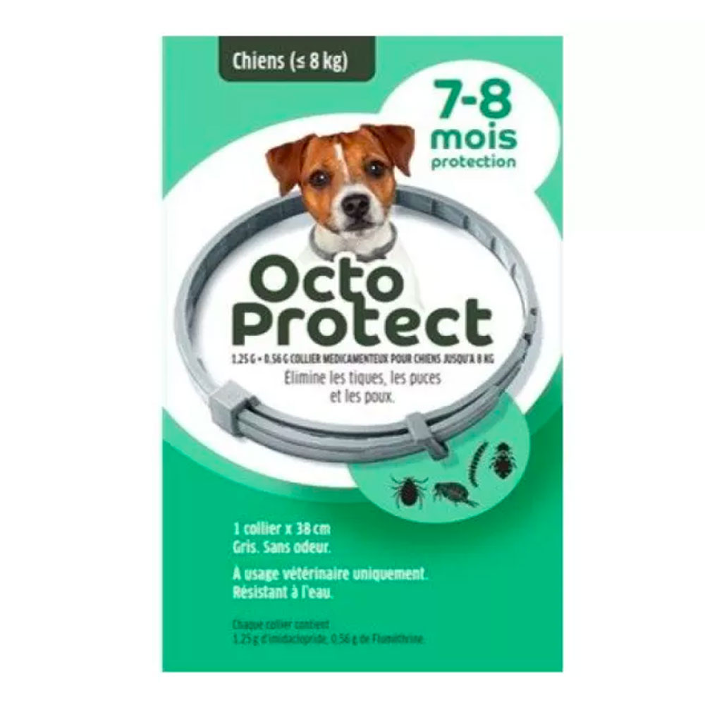 OctoProtect Collier Petit Chien Tiques puces poux x1