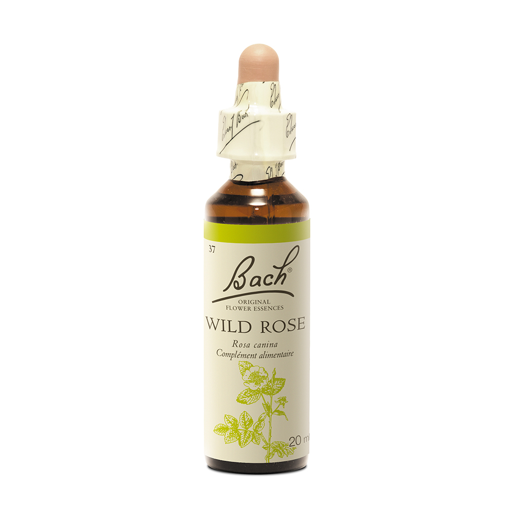 Fleurs de Bach Original N°37 Wild Rose Eglantier 20ml