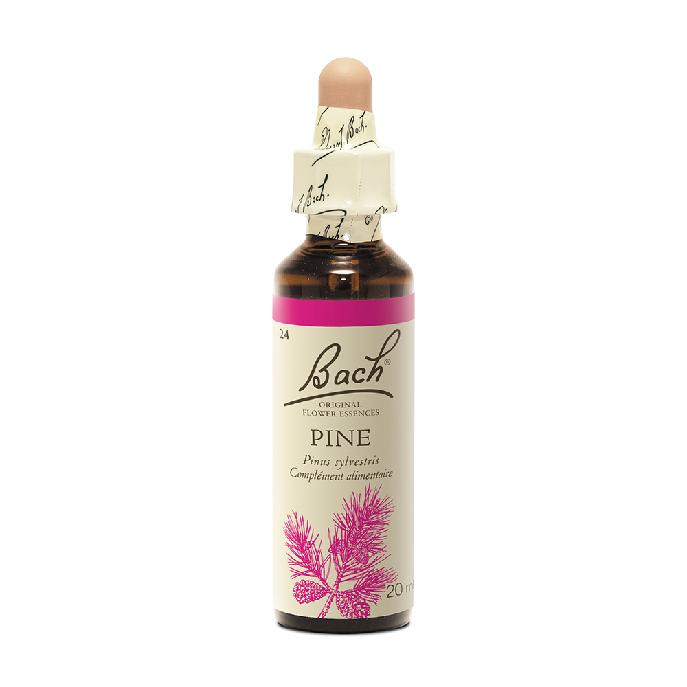 Fleurs de Bach Original N°24 Pine Pin Sylvestre 20ml