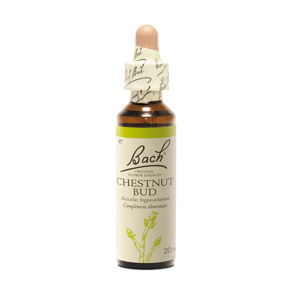Fleurs de Bach Original N°07 Chestnut Bud Bourgeon de Marronnier Blanc 20ml